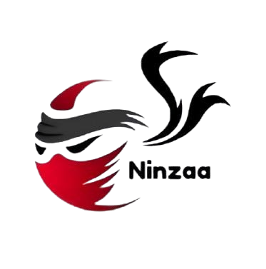 Ninzaa IT logo